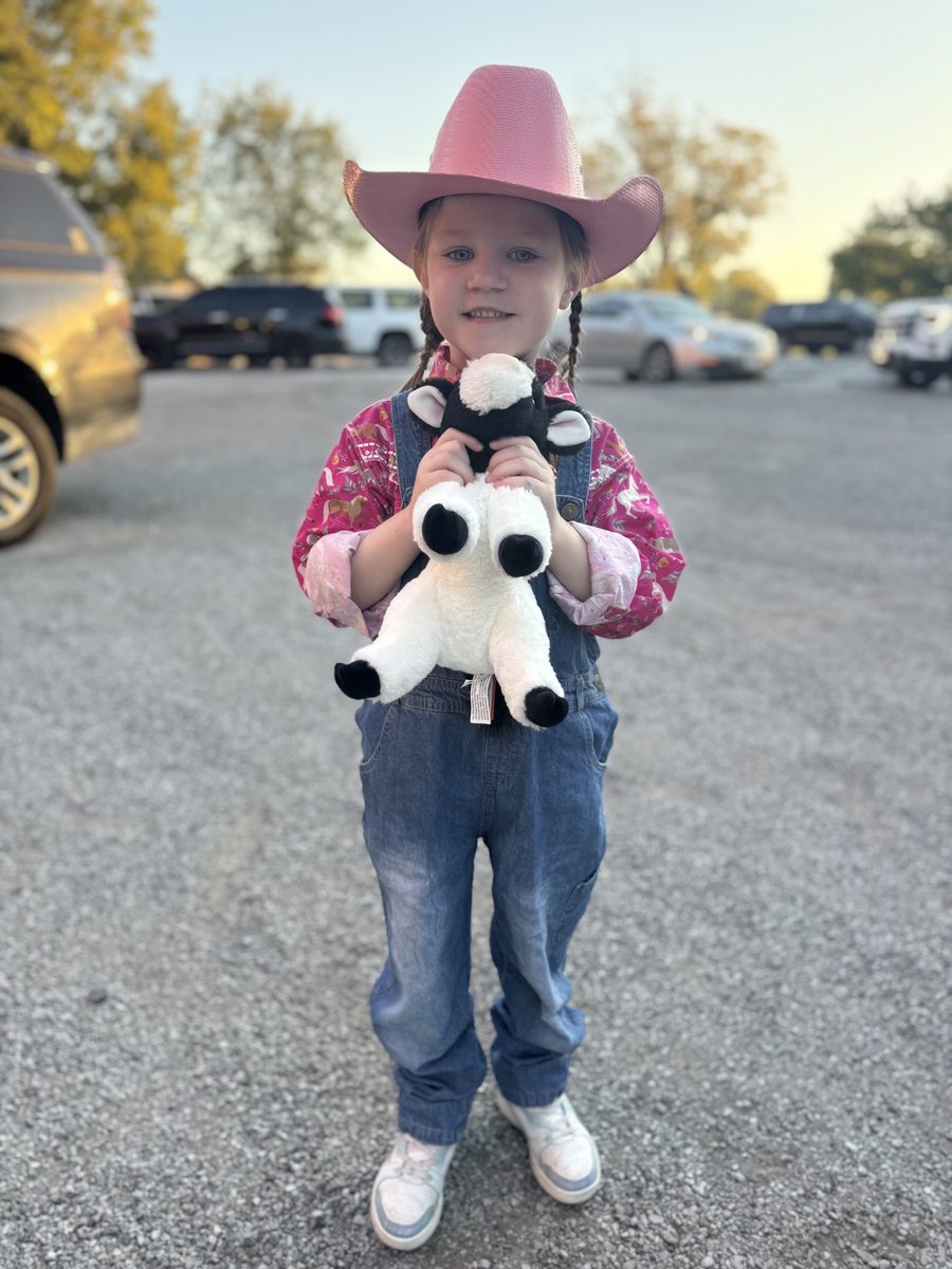 A little rancher in a pink cowboy hat with her toy calf