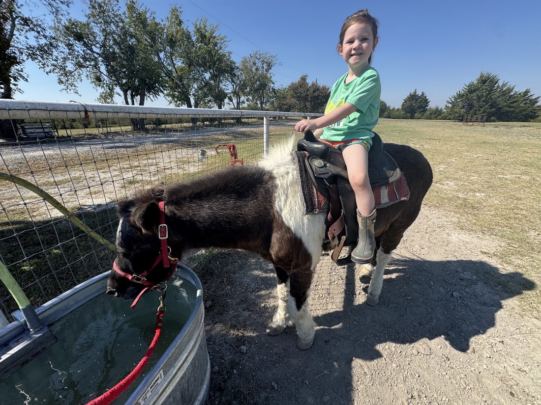 Riding a pony at Rigid Ranch