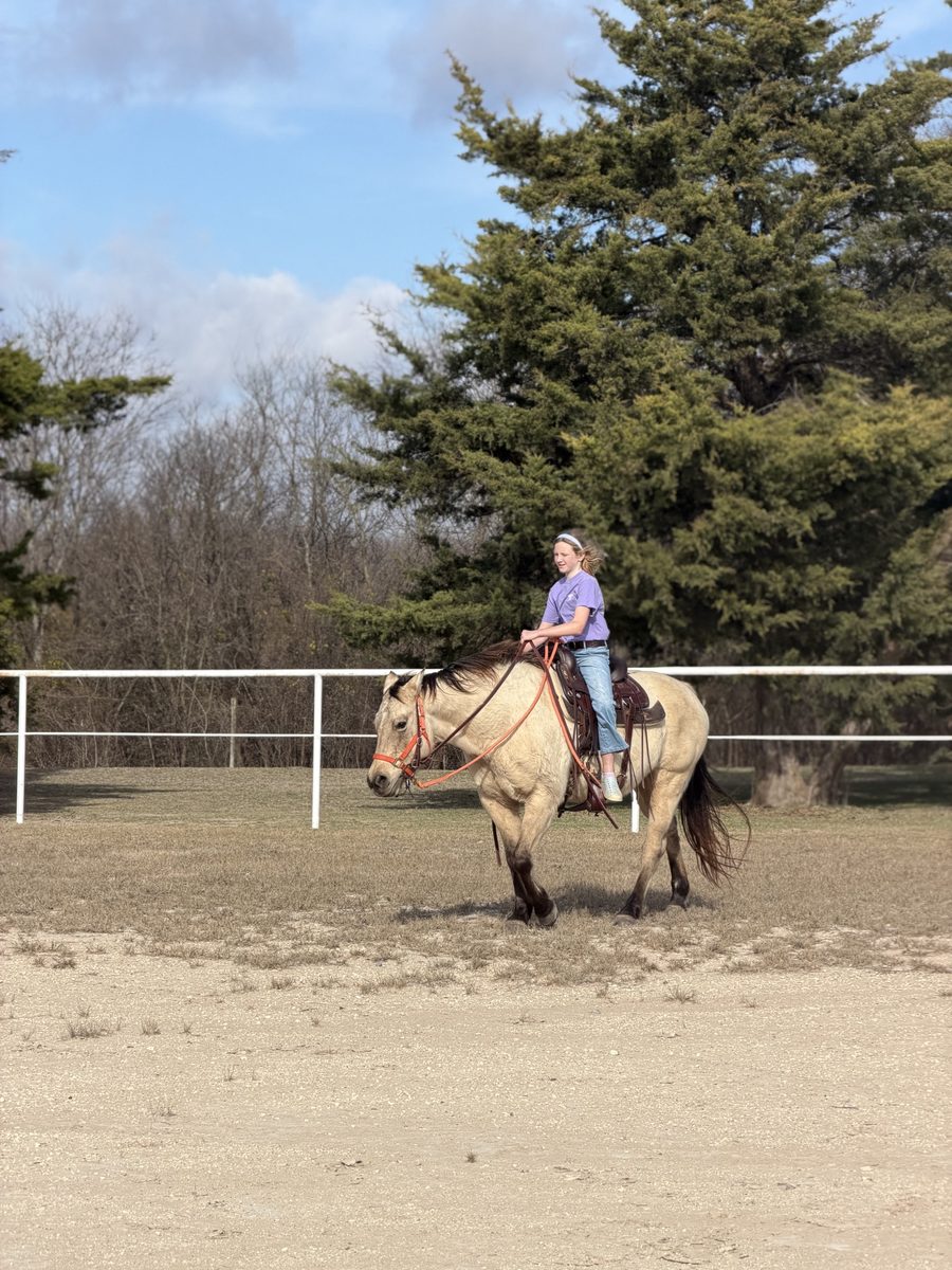 Riding a buckskin horse at Rigid Ranch